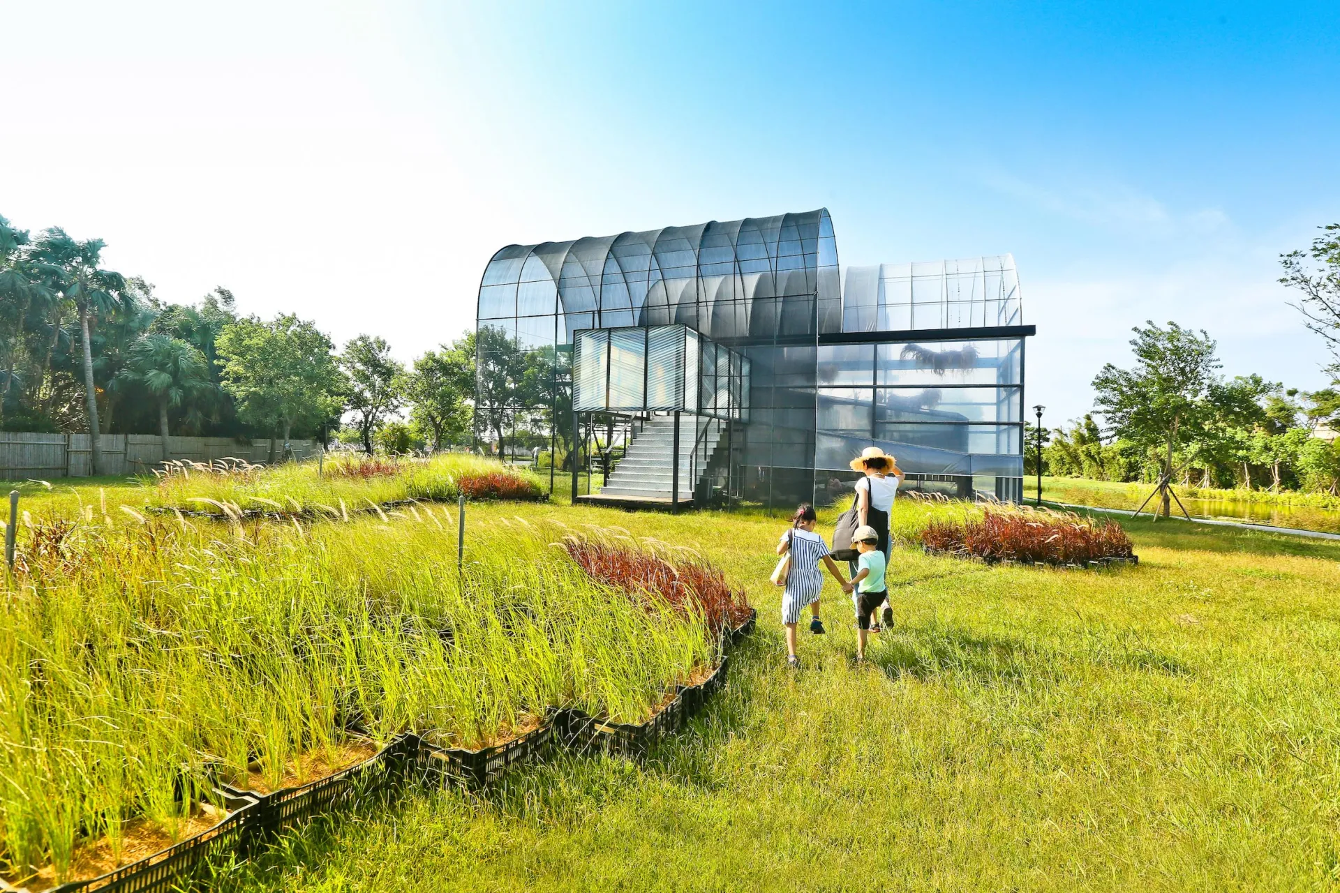 衍序團隊在空間上重新定義建築與自然景觀之間的連結，以培養原生草為行動實驗，空間進入溫室構築，基地成為一座兼具生態和景觀的原生草域實驗室。